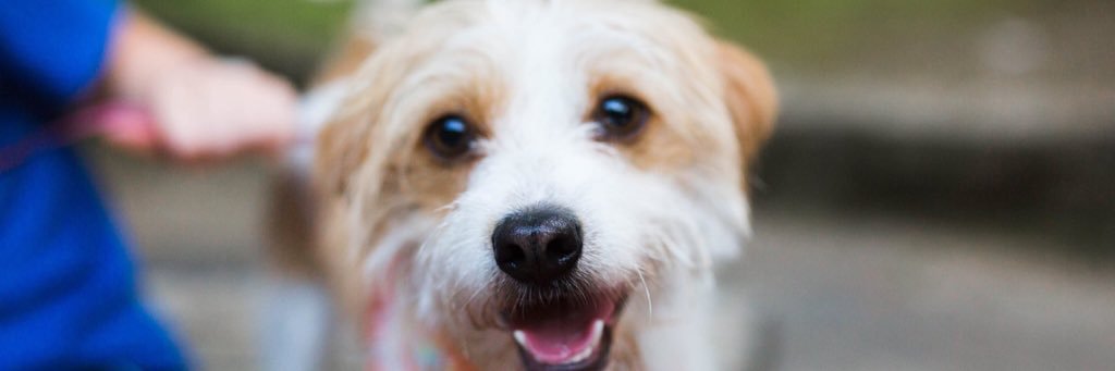 becmuncy's profile banner image