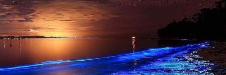 SteppinLikeAWeapon💥 banner