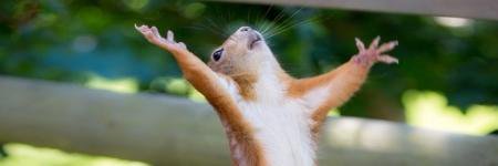 brianneedshelp's profile banner image