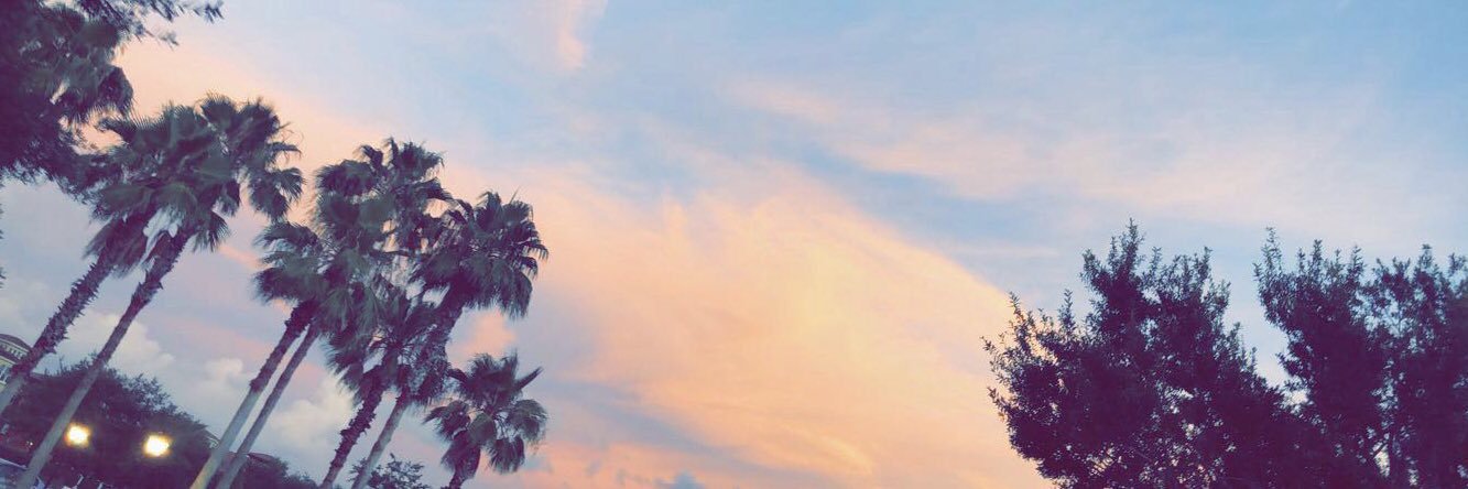 TatumCarroll's profile banner image