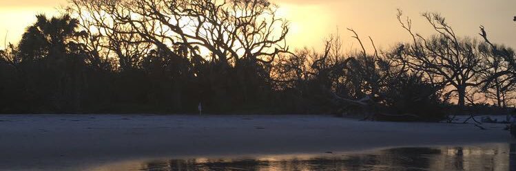 SuttonC13's profile banner image