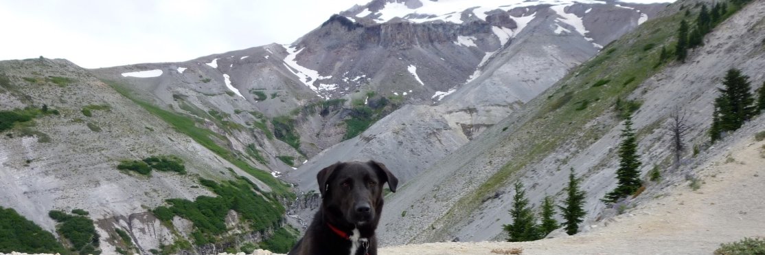 John Abatzoglou banner