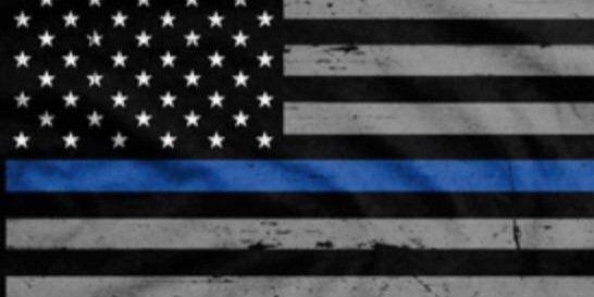 bee_reckless's profile banner image
