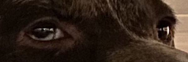 TrevorBarnes97's profile banner image