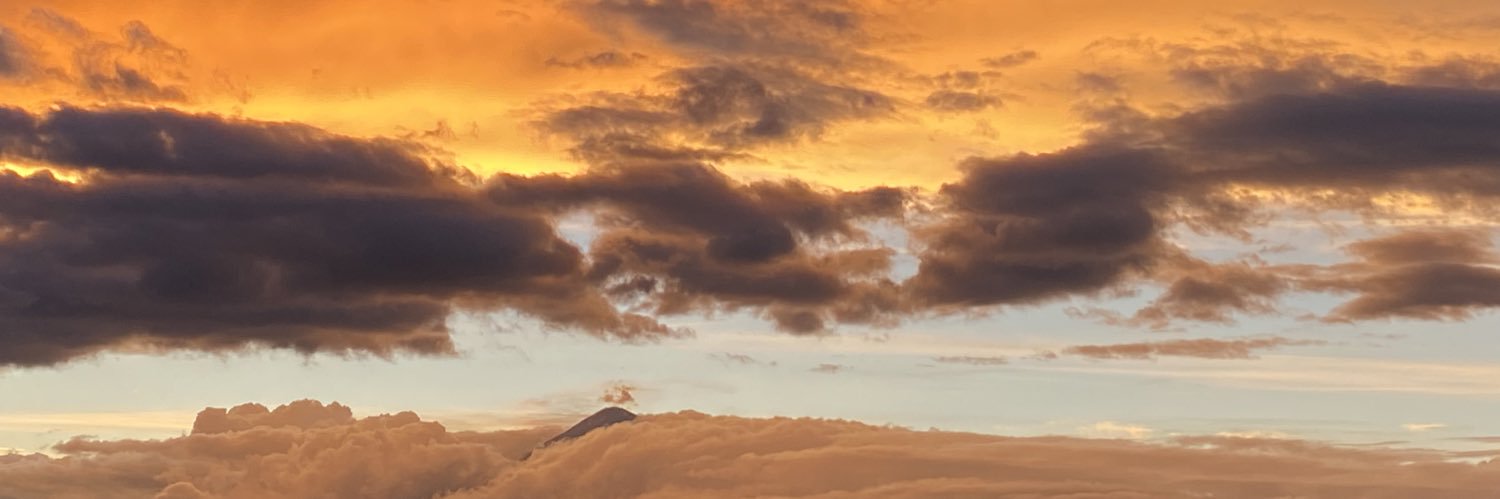 Mojitodf's profile banner image