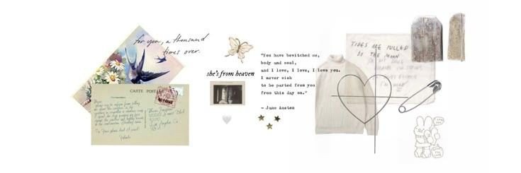 senia banner