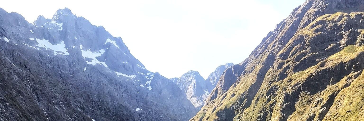 KCDanbrook's profile banner image