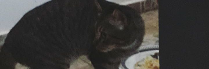 miftt__'s profile banner image