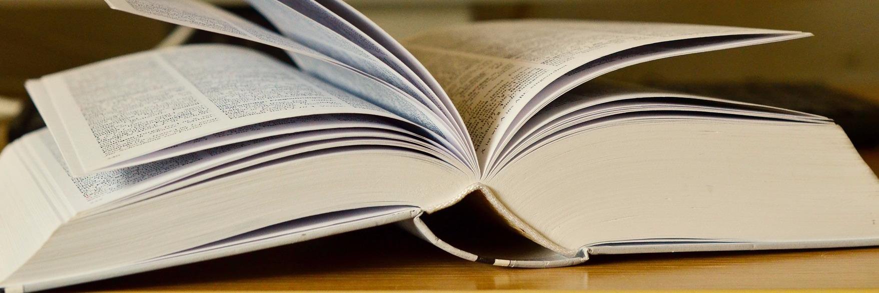 ECGI Working Papers banner