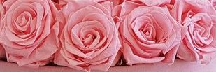 _AlondraBoo_'s profile banner image