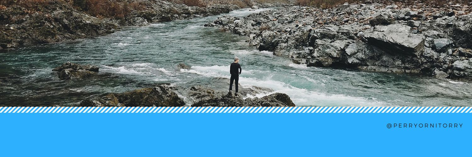PerryOrnitorry's profile banner image