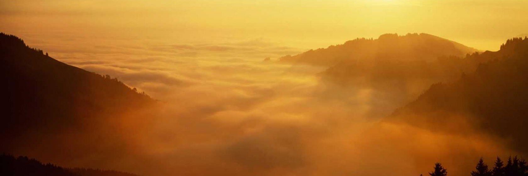 StrengthsFocus's profile banner image