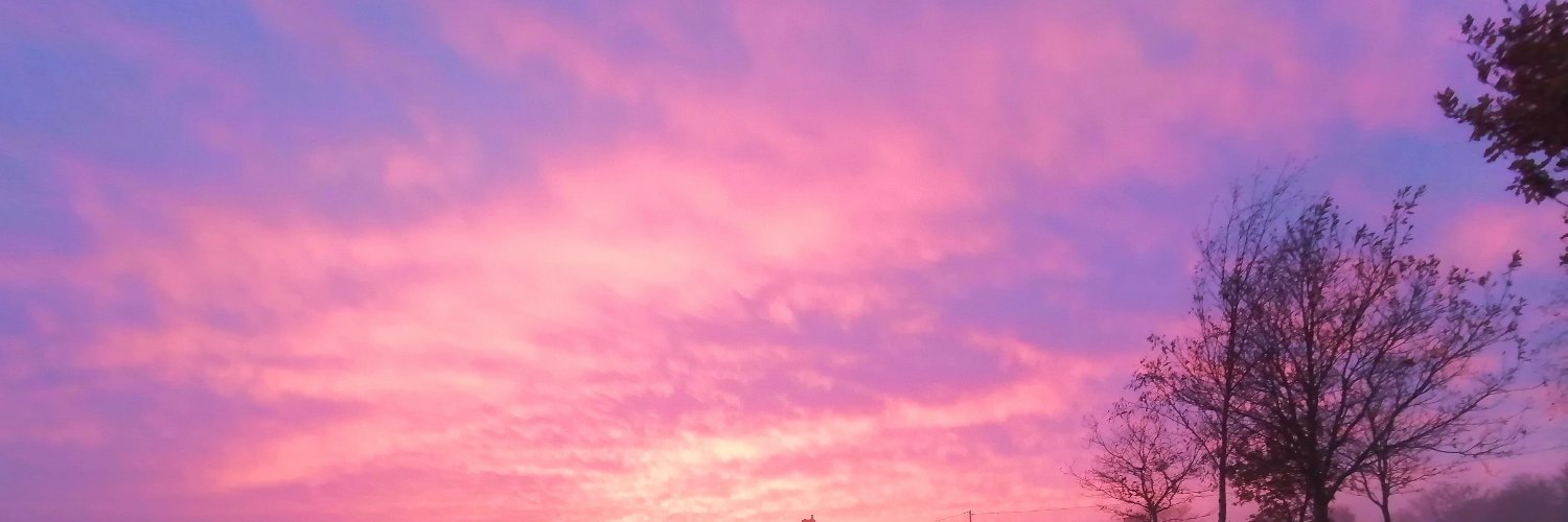 ComradeHeather_'s profile banner image