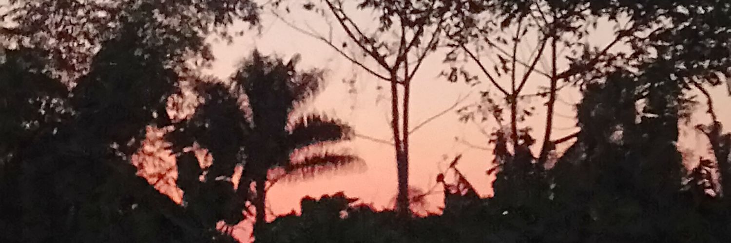 ZitaRodguez's profile banner image