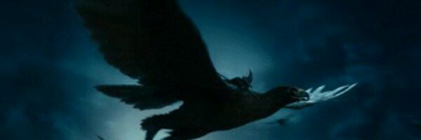 jeeyeahh Profile Banner