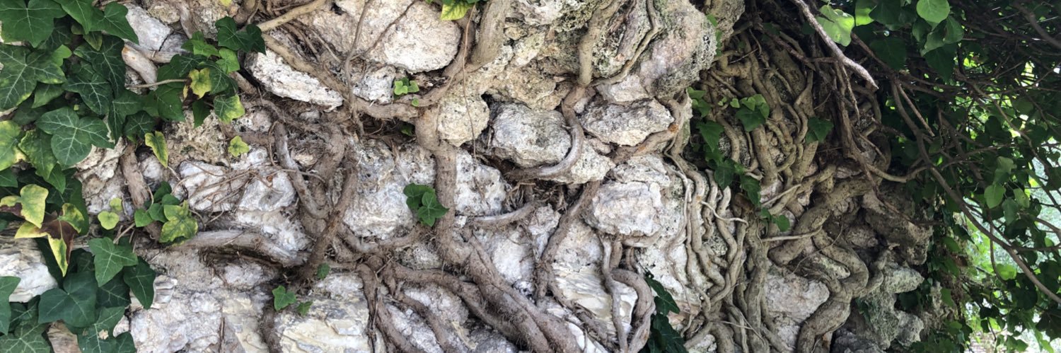 Clemdelz 𓅓 banner