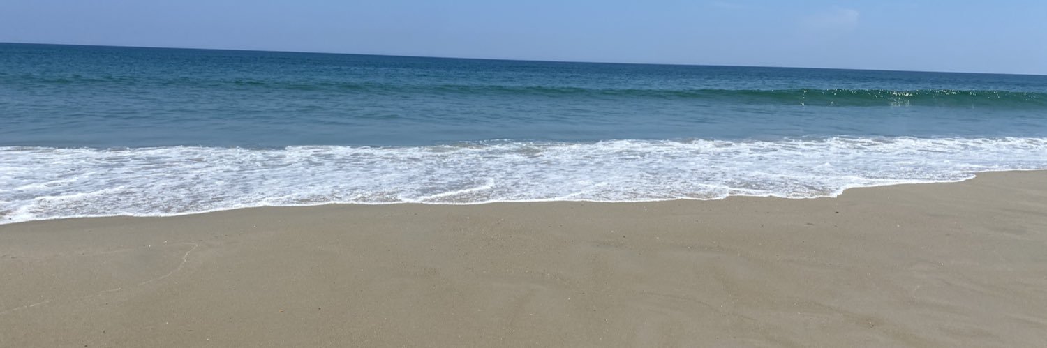 MollyKilroy's profile banner image