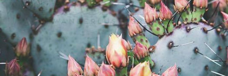 katy_benet's profile banner image