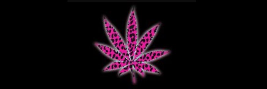_siierralynn's profile banner image