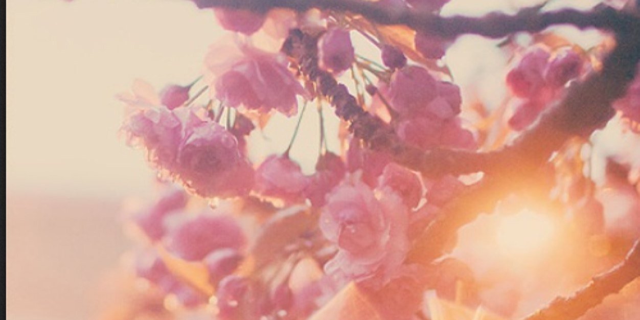 anetaaa0x's profile banner image