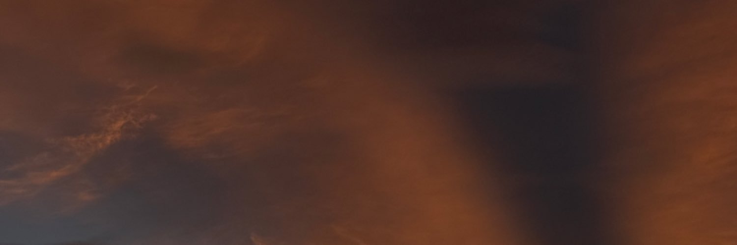 Alanegabrielaa's profile banner image