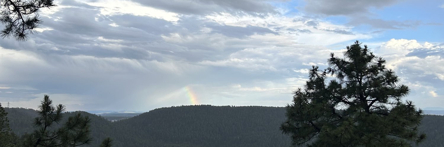 CarriMorency's profile banner image