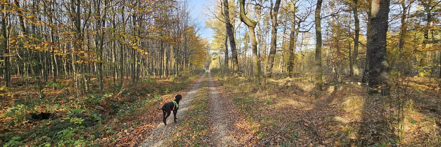 Michał Ochendowski banner