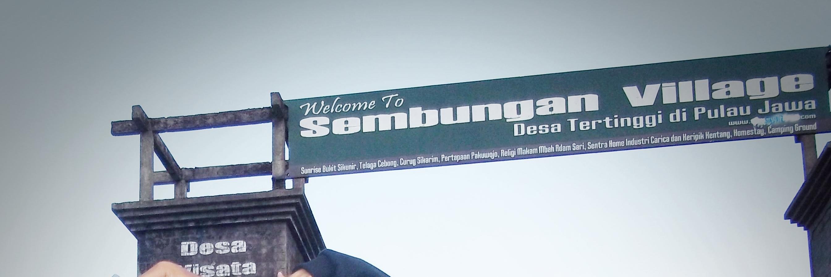 dyanosaurus's profile banner image