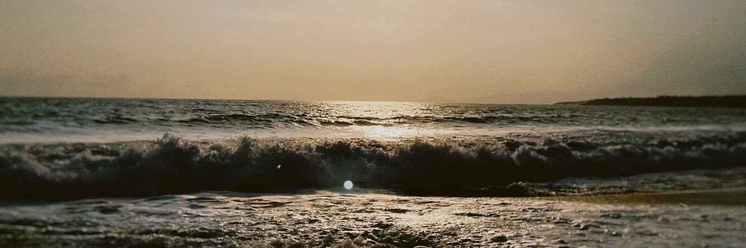 lrodd_'s profile banner image