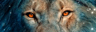 iamblanchbee's profile banner image