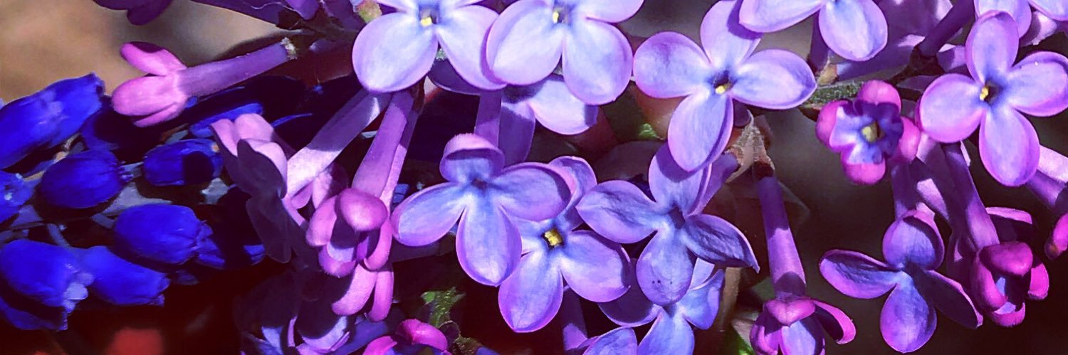 get__inmyhead's profile banner image