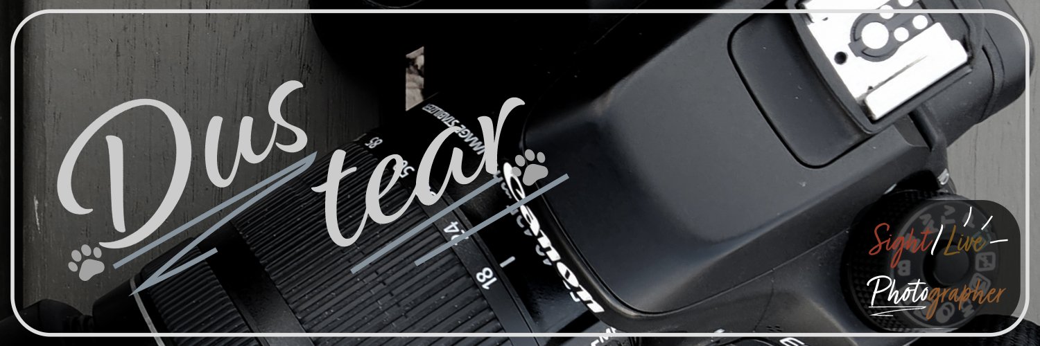 Dustear's profile banner image