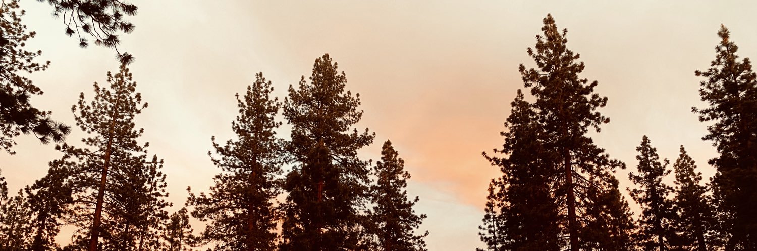 Haley Harris banner