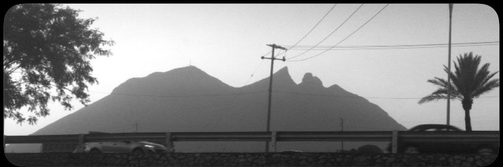 AleGarza's profile banner image