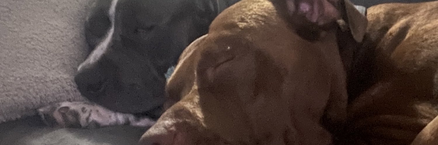 jcarrillo51's profile banner image