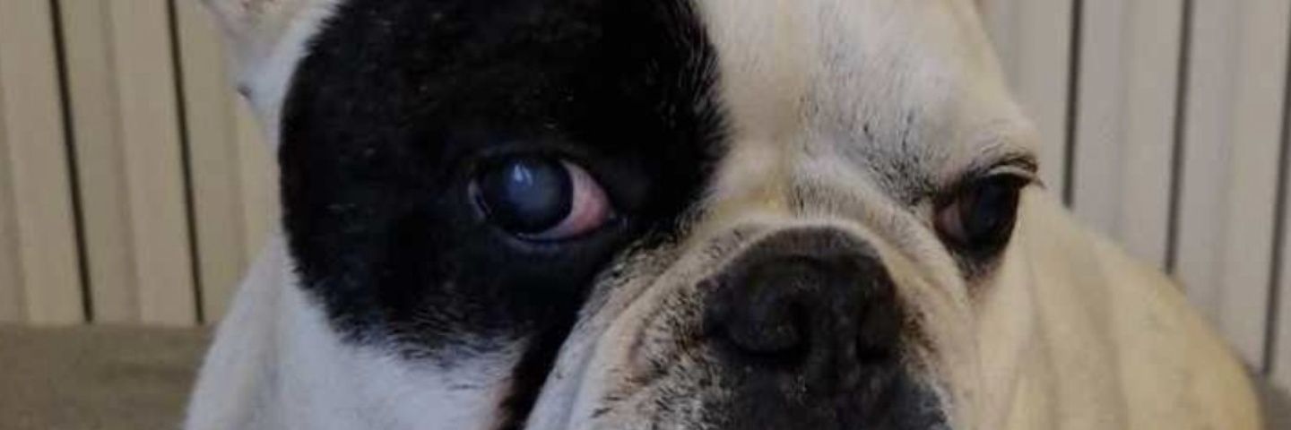 Simpl3t's profile banner image