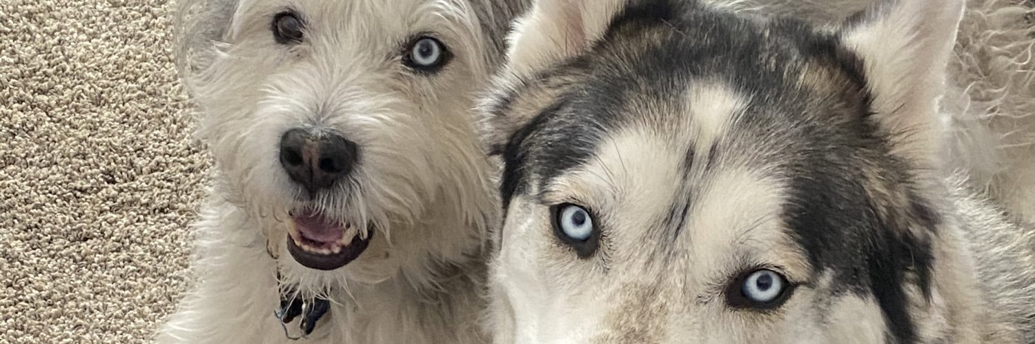 Dean Herrington banner