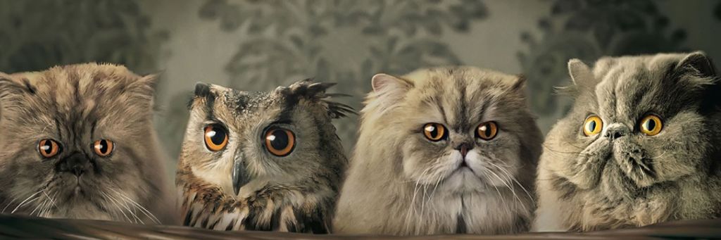 dcurrin123's profile banner image