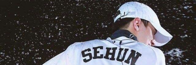 N a a banner