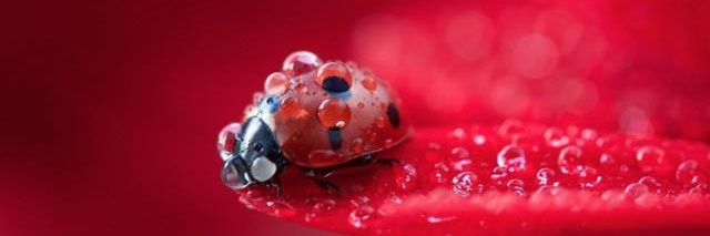 antmelih_07's profile banner image