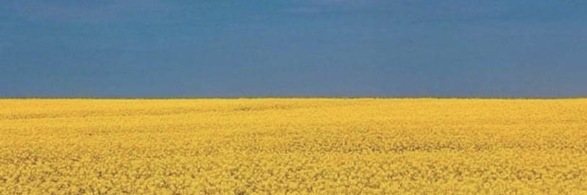 LuvAvs96's profile banner image