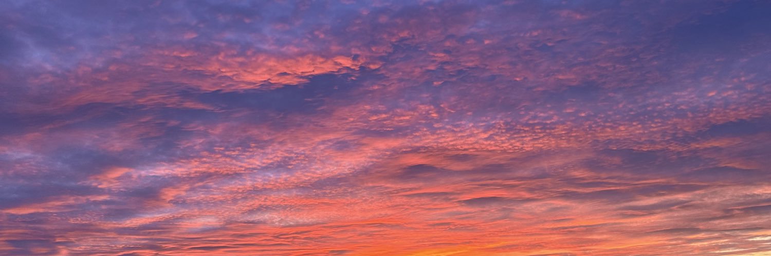 MarieTurck's profile banner image