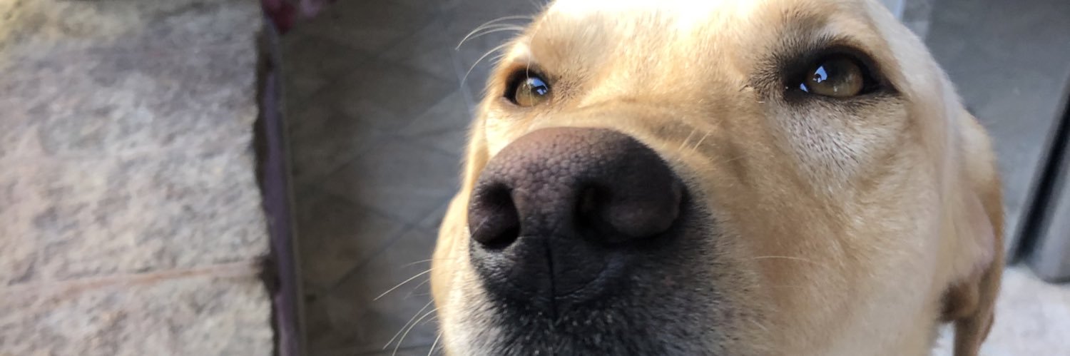 demarck_'s profile banner image