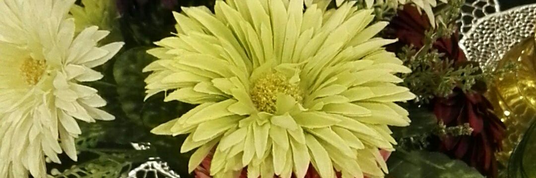 ابو سند banner