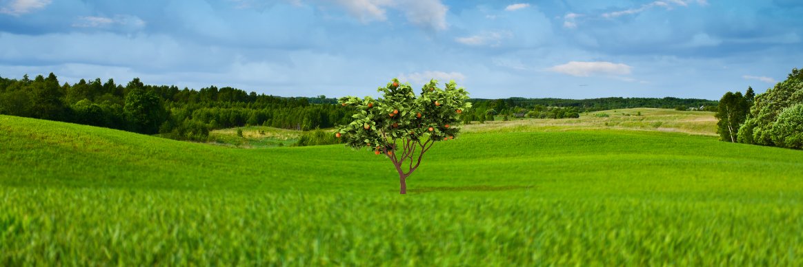cutaneaderm's profile banner image