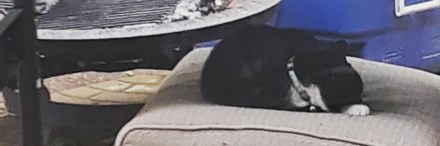 angryprincess33's profile banner image