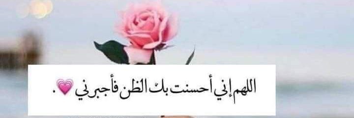 Menحa🕊🌿🇪🇬تحيـا_مــ𓁳𓆃ـصــ𓅮ـر_Egypt𓁳𓄿𓅓 (@menhaa2) / Posts / X