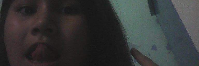 aylenveleza's profile banner image