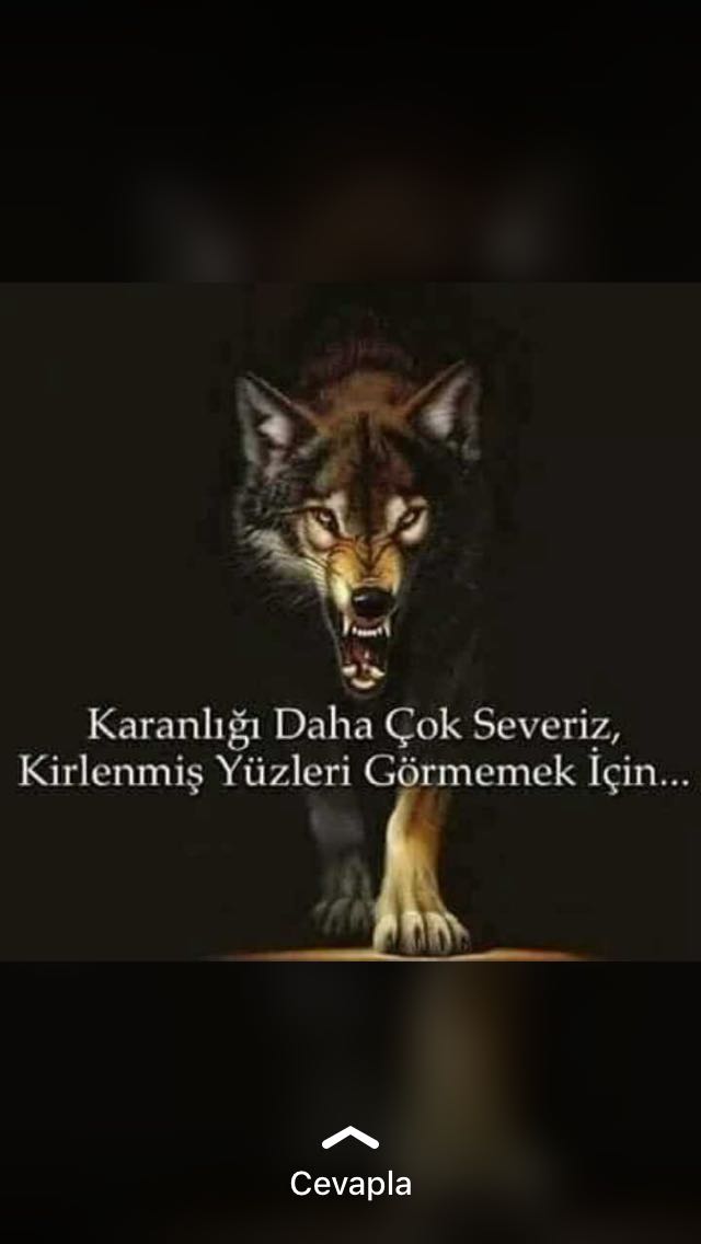 H.İbrahim Özyalvaç banner