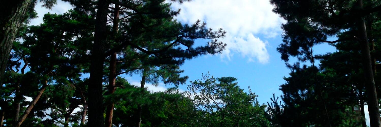 gainus's profile banner image